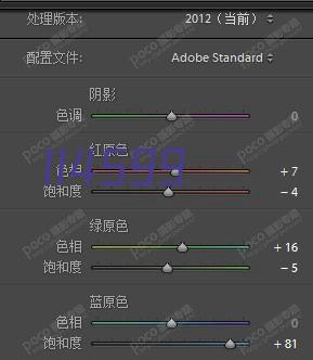 河南河大雅思教育信息咨询有限公司