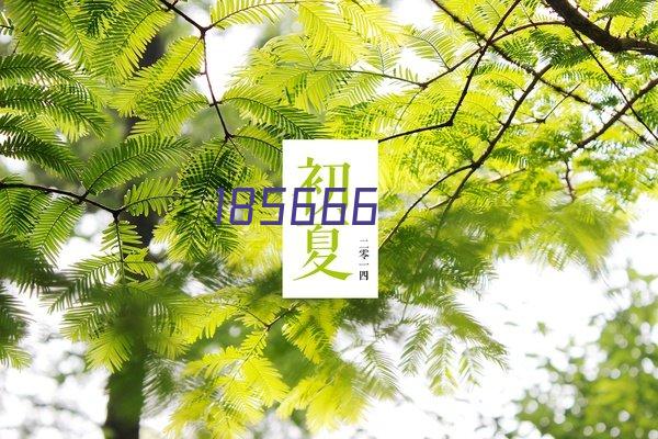 pimio/毕加索932传承铱金钢笔办公商务宝珠笔礼盒装