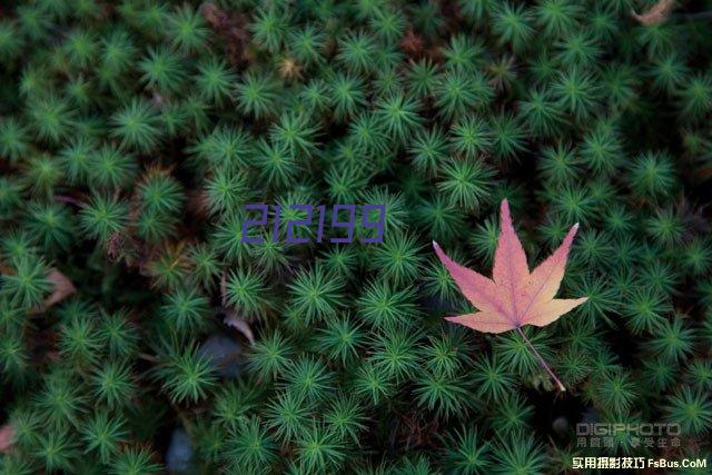 单组份聚氨酯防水涂料