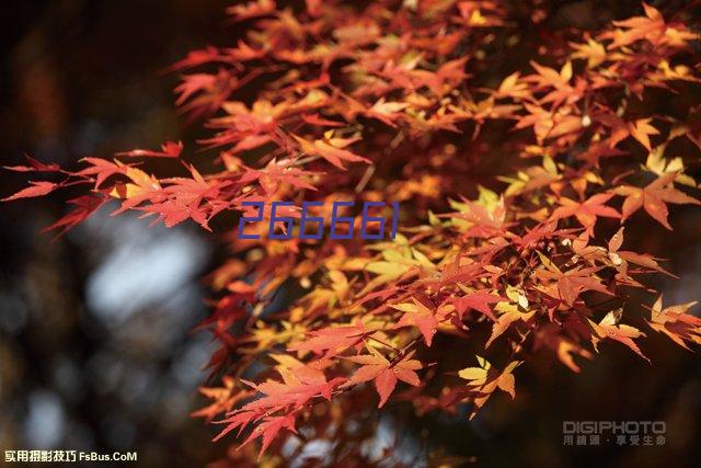 上海秋季国际纹身艺术节亚洲色彩半胛组第三名