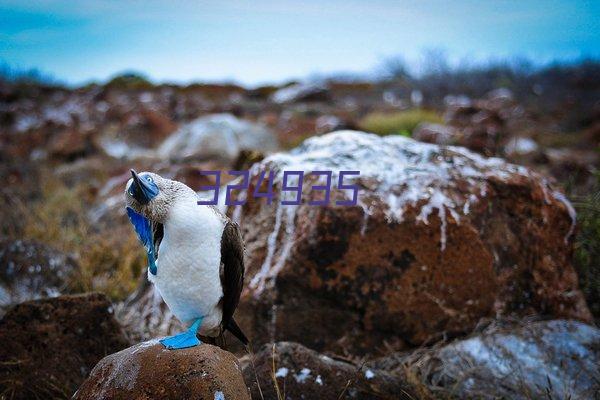 苹果11国行双卡苹果提供苹果服务