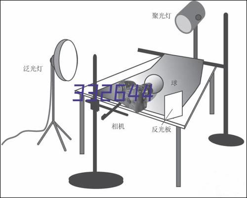 执行会长刘琼