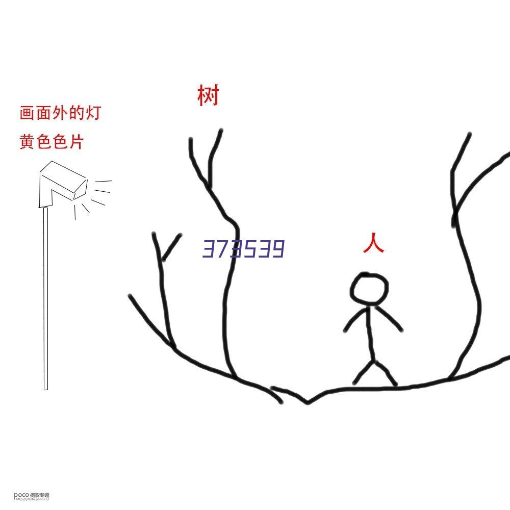 WEIGEWA/威格瓦手推自走双刷洗地机680BS