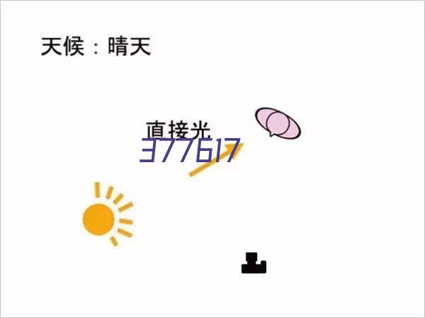 广州纳斯威尔信息技术有限公司