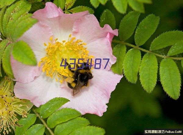 日本美女あやリる百變Cos圖賞 絲襪泳裝勾勒身材