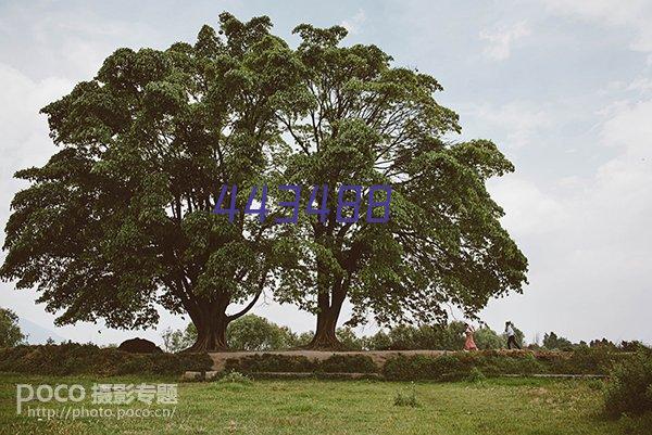 各种生物识别技术智能锁对比科普文