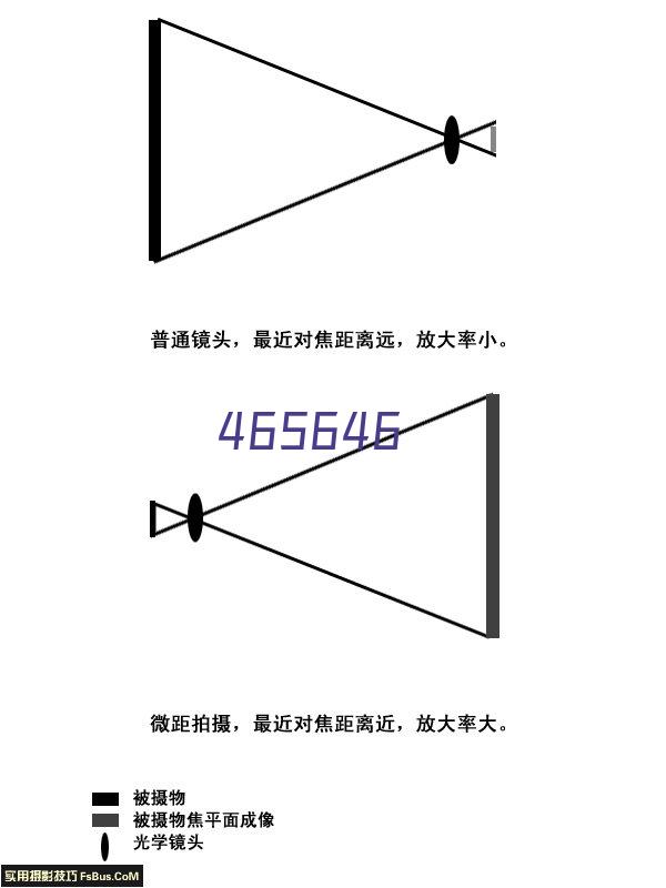 第十五届优秀企业家/浙江金迪控股集团有限公司总裁王玲娟