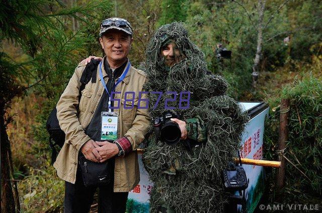 日系内裤女中腰无痕舒适透气纯棉抗菌裆蕾丝边性感女士三角裤