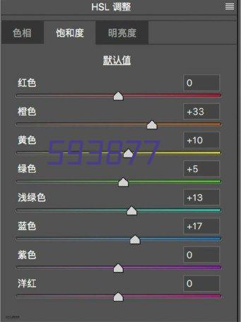 合作伙伴四