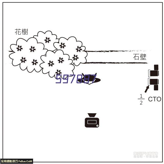 想起 电动牙刷XQ-718