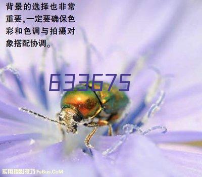 东莞东武工业研磨有限公司