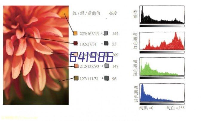 广州个人亲子鉴定一次费用