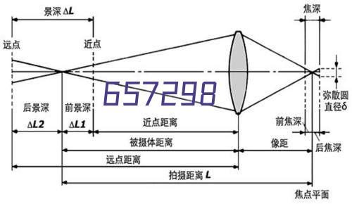 柳叶摘星辰