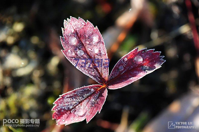 怎样选购液压机械