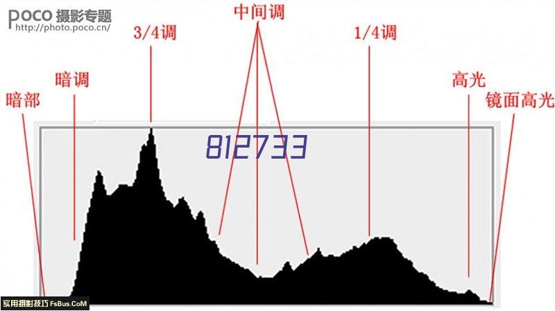 铸钢齿轮