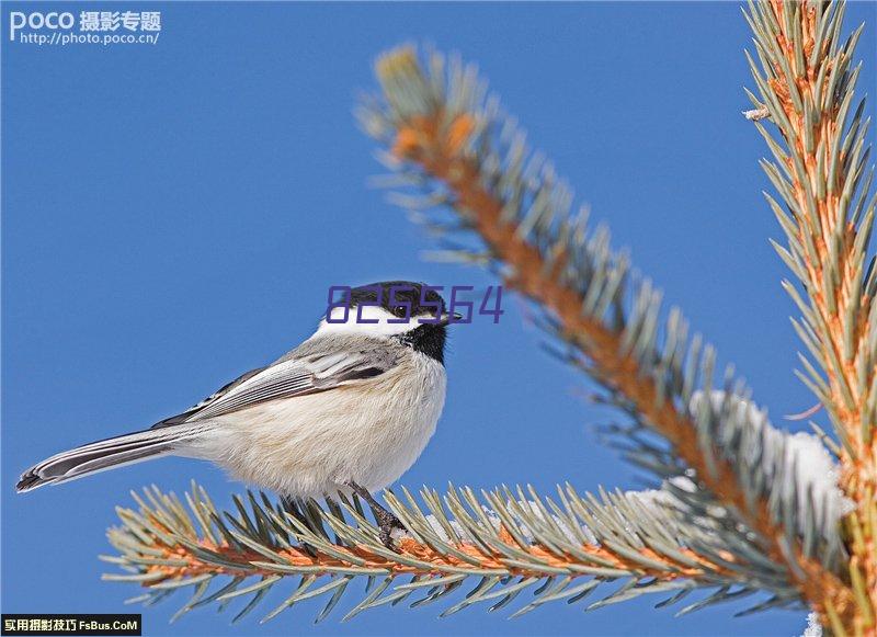 震惊！选购门窗竟然有门道！