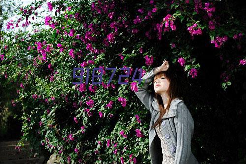 三八女神节情人节母亲节等玫瑰爱心片头