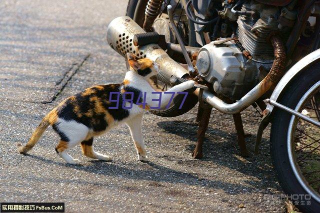 故宫文化 岁朝佳兆子母壶茶具套装骨质瓷壶